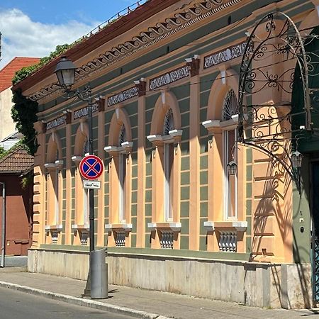 Pensiunea Casa Rusu Baia Mare Bagian luar foto